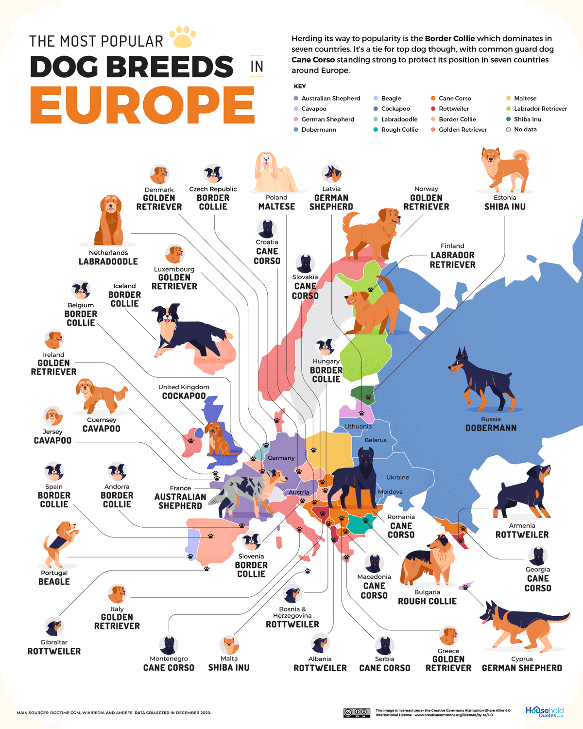 02_Most-Popular-Dog-Breed-in-Europe.png